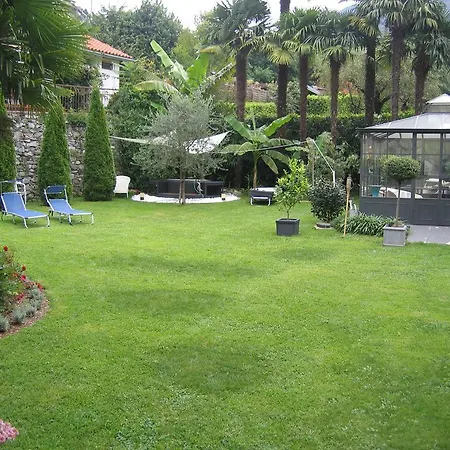 Im Palmengarten * Cannero Riviera