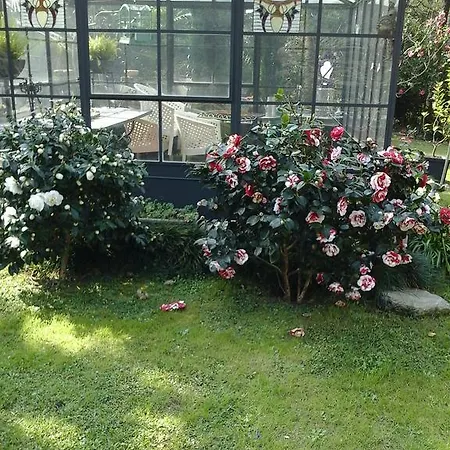 Holiday home Im Palmengarten Cannero Riviera
