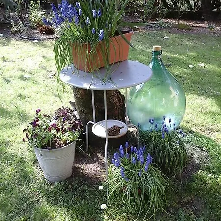 Im Palmengarten Holiday home Cannero Riviera
