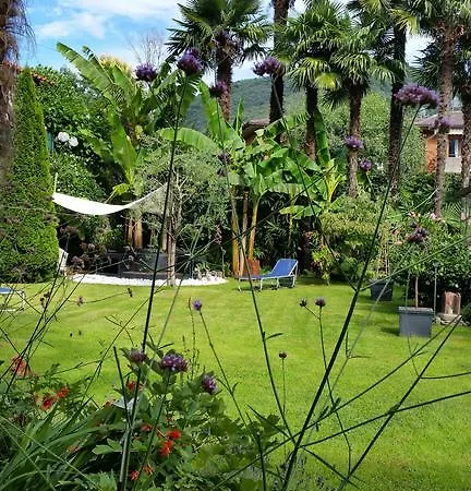 Im Palmengarten * Cannero Riviera